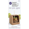 Wilton Caramel Apple treat Box (3pcs)